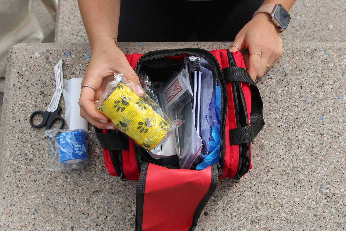 Pet First Aid Kit – Veterinarian-Curated Emergency Supplies & Guide