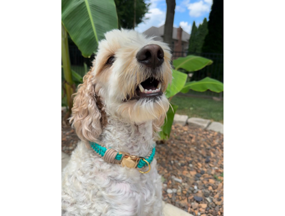 Infinity Braid in Teal & Light Tan - Handmade Dog Collar