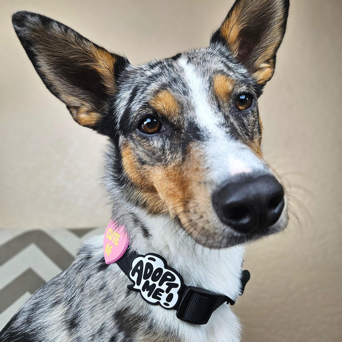 Adopt Me Jiby Dog Charm