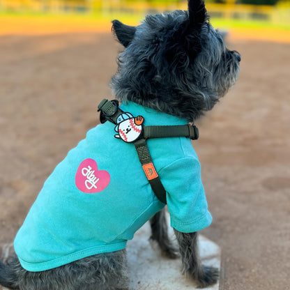 Baseball Jiby Dog Charm