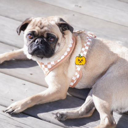 Pumpkin Jiby Dog Charm