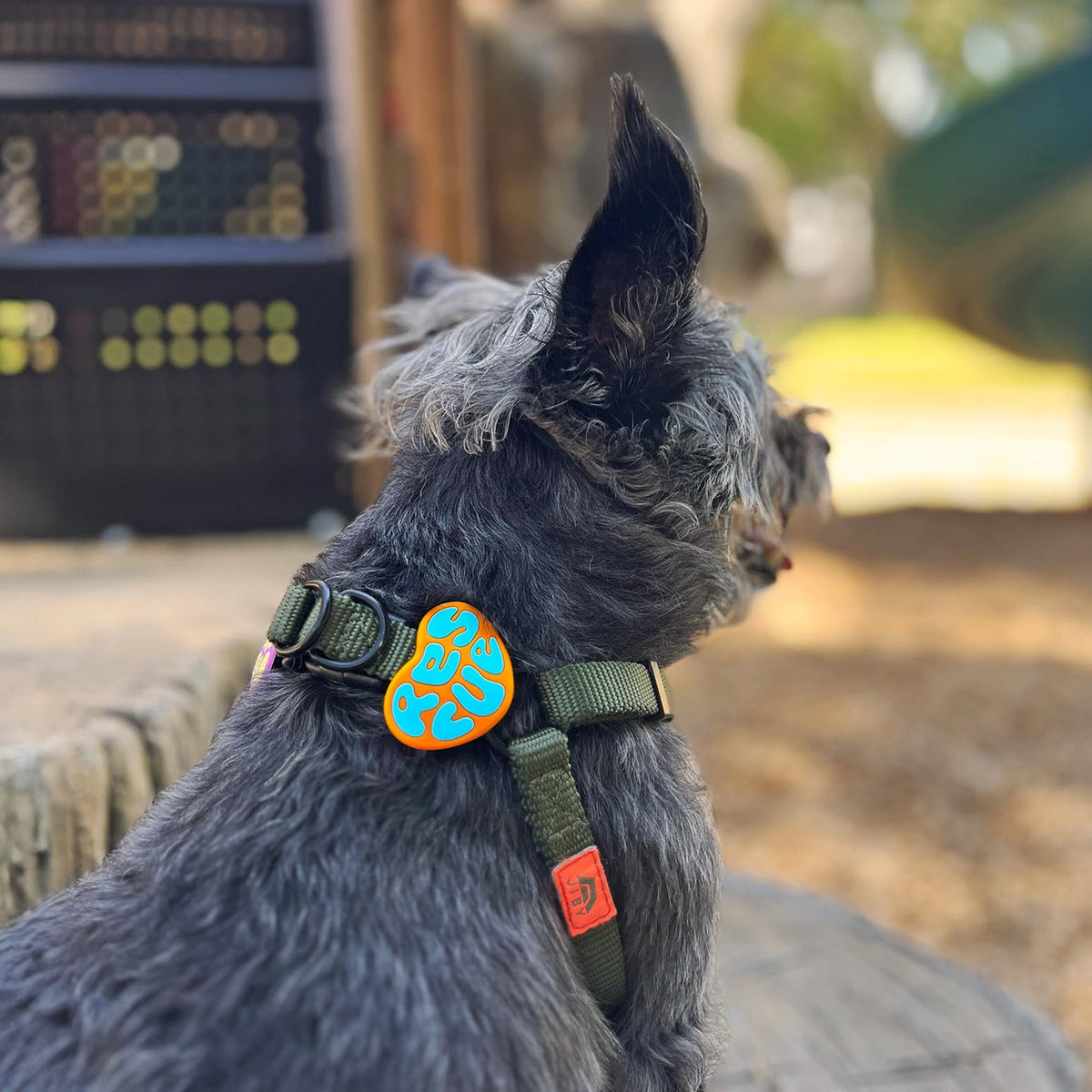 Rescue Orange Jiby Dog Charm
