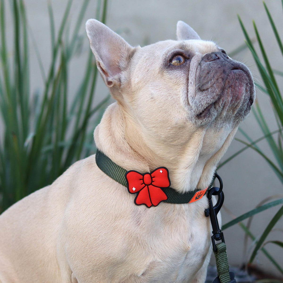 Ribbon Red Jiby Dog Charm