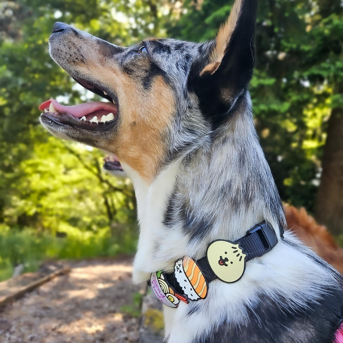 Sushi Jiby Dog Charm