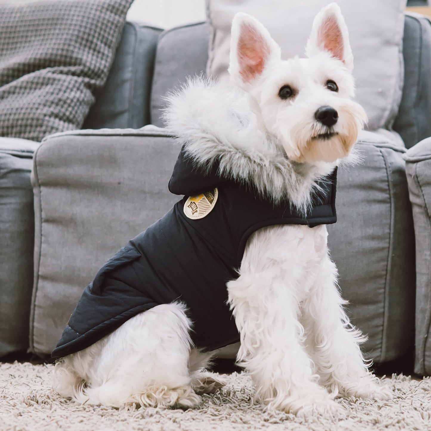 Touchdog 'Eskimo-Swag' Duck-Down Insulated Winter Dog Coat Parka