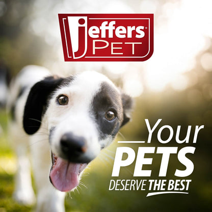 Jeffers Red Hockey Puck Natural Rubber Treat Dispensing Dental Dog Chew Toy