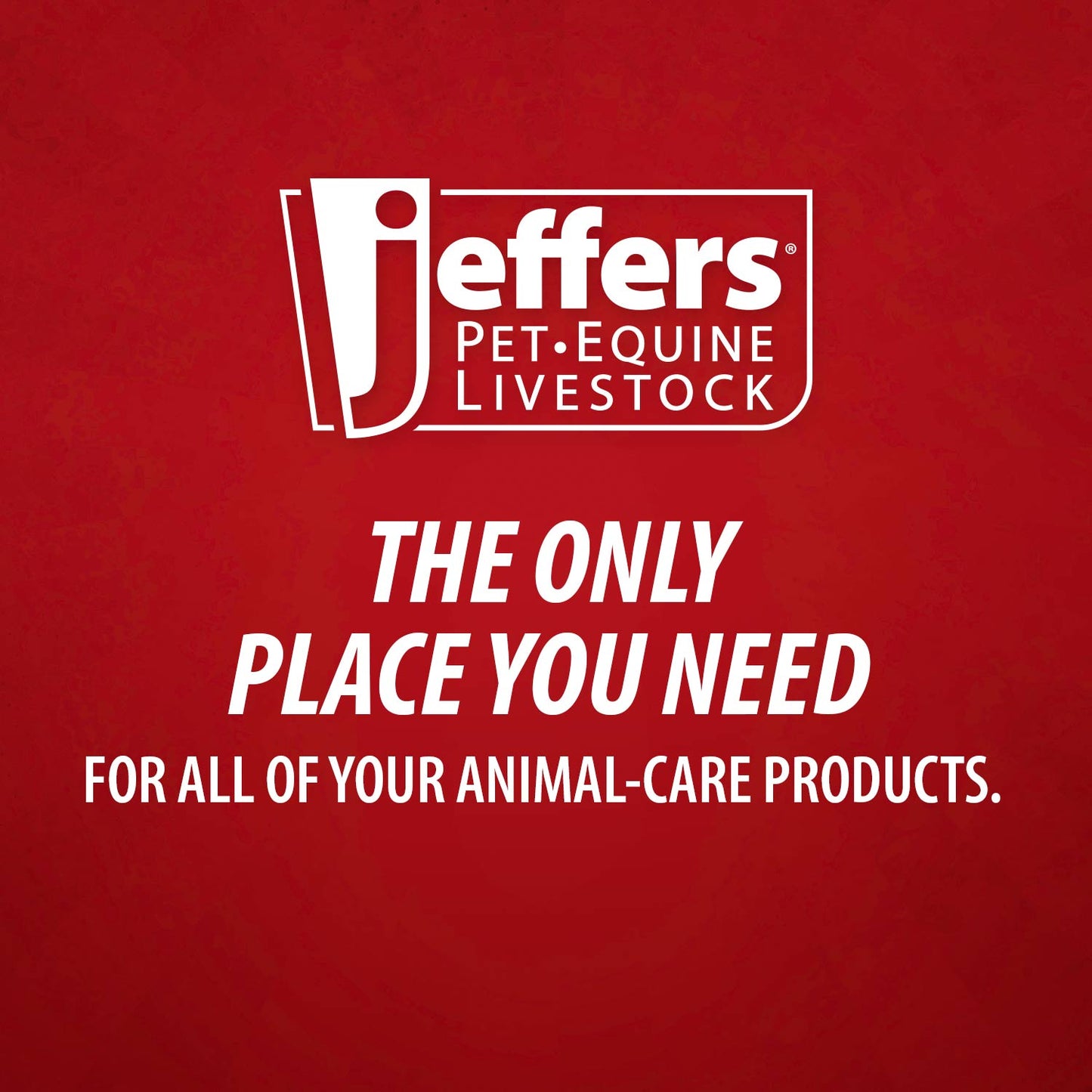 Jeffers Grooming Trim Kit #24412 – Professional Thinning Shears, Stripping Comb & Belt Case