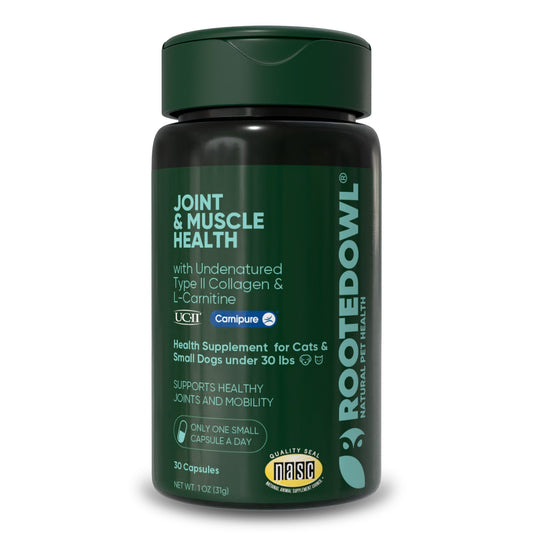 Joint & Muscle Health (Medium & Large Dogs)
