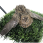 Jumbo Coturnix Quail Eggs Brown/Wild type for Hatching, Fertile Quail Eggs from Quality Monitored Flocks Birds Reach Jumbo Size Within 10 Weeks