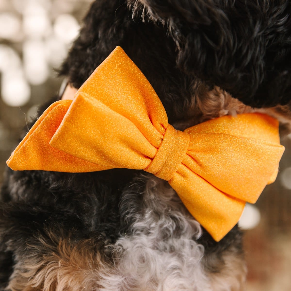 Keaton Dog Babe Bow