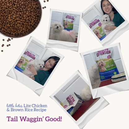 Little Bites Lite Chicken & Brown Rice Recipe