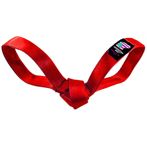 LUCKY DOG $7 Love Bird Seatbelt Tug