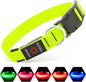 LED Dog Collar Rechargeable Light-Up Safety Collar for Night Walking (colors)
