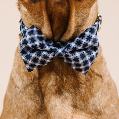 Leighton Dog Bow Tie