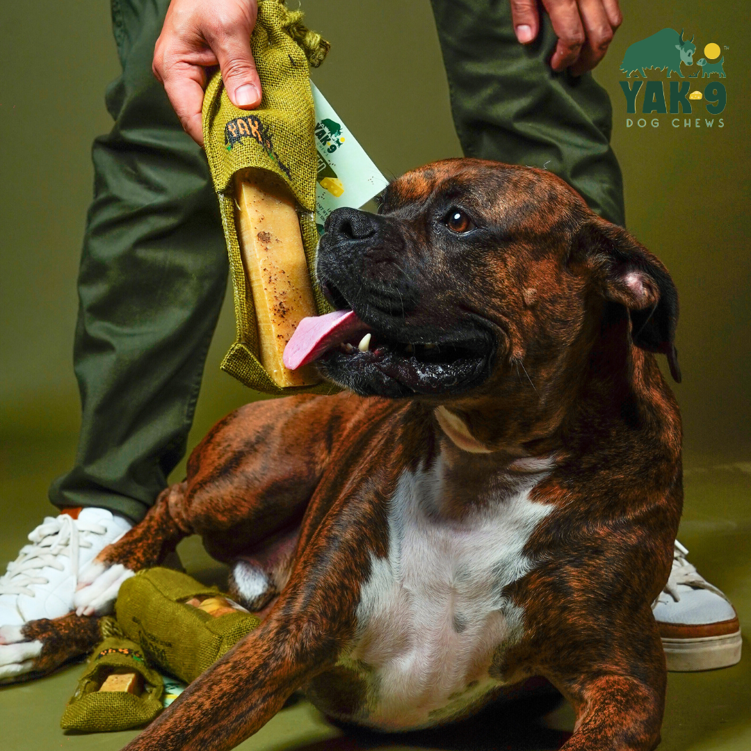 Flaxseed & Mint Cheese Chews for Dogs