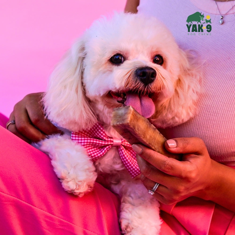 Strawberry Cheese Chews for Dogs