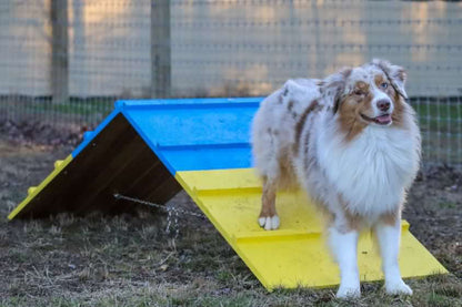 Better Sporting Dogs Dog Agility A-Frame – Arrives Fully Assembled