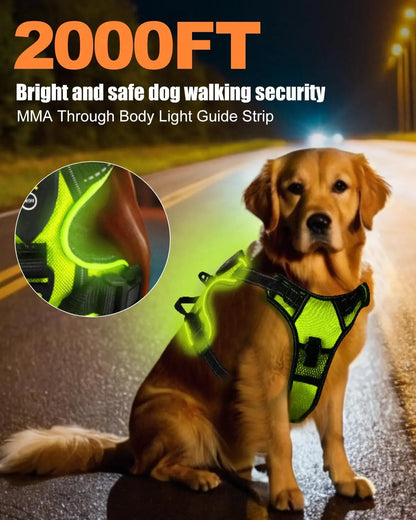Light-Up LED Dog Harness – Rechargeable No-Pull Vest for Night Walking