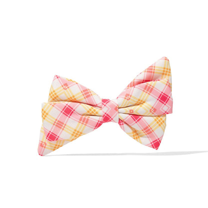 Lottie Dog Babe Bow