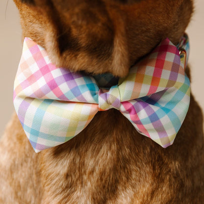 Minka Dog Bow Tie