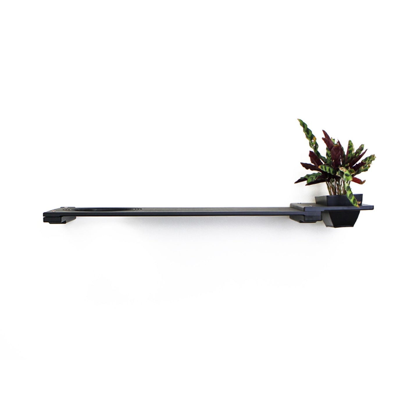 Cat Plant Stand for Wall