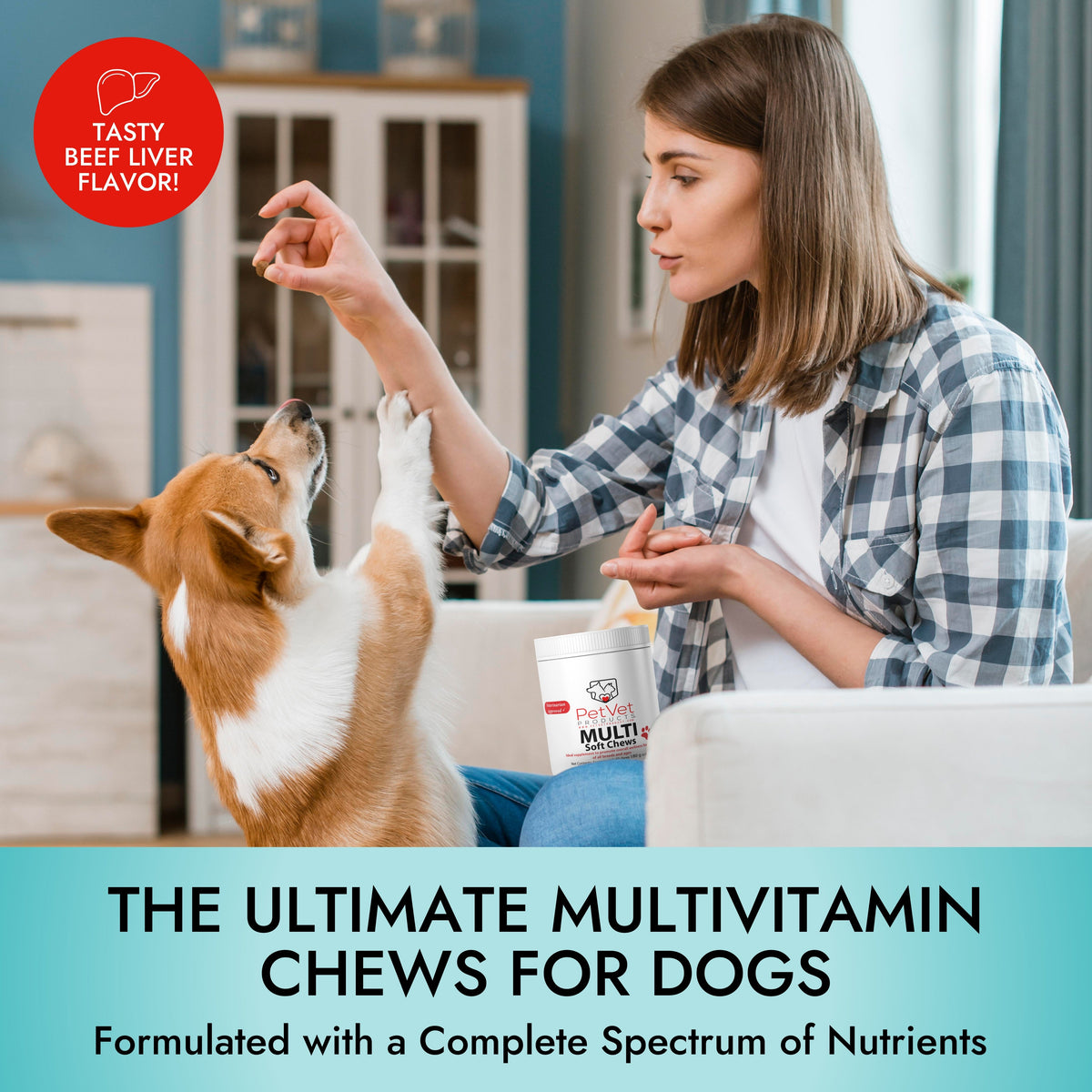 Pet Vet Products® Multi-Function Soft Chews for Dogs – Beef Liver Flavor, 60 Count with Probiotics, Glucosamine, Skin, Digestive & Immune Support