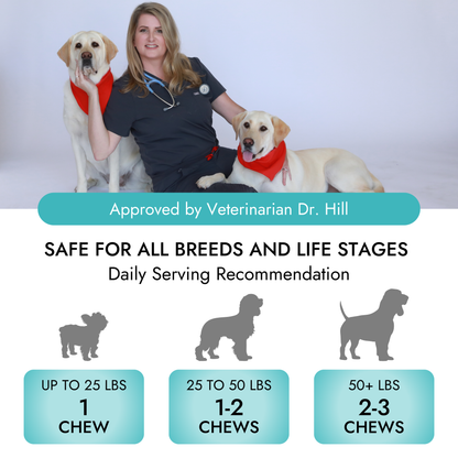 Pet Vet Products® Multi-Function Soft Chews for Dogs – Beef Liver Flavor, 60 Count with Probiotics, Glucosamine, Skin, Digestive & Immune Support