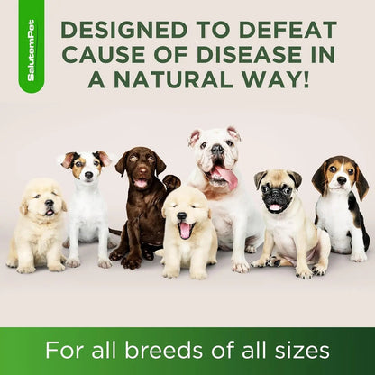Natural Herbal Wellness Antibiotics Drops for Dogs Immune Support 2oz