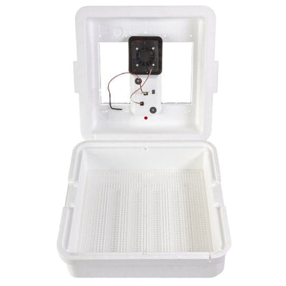 Farm Fresh Egg Hatching Starter Kit – Egg Wash, Candler & Digital Incubator