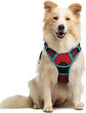 No Pull Dog Harness Reflective Adjustable Oxford Vest Dogs Control (All Sizes)