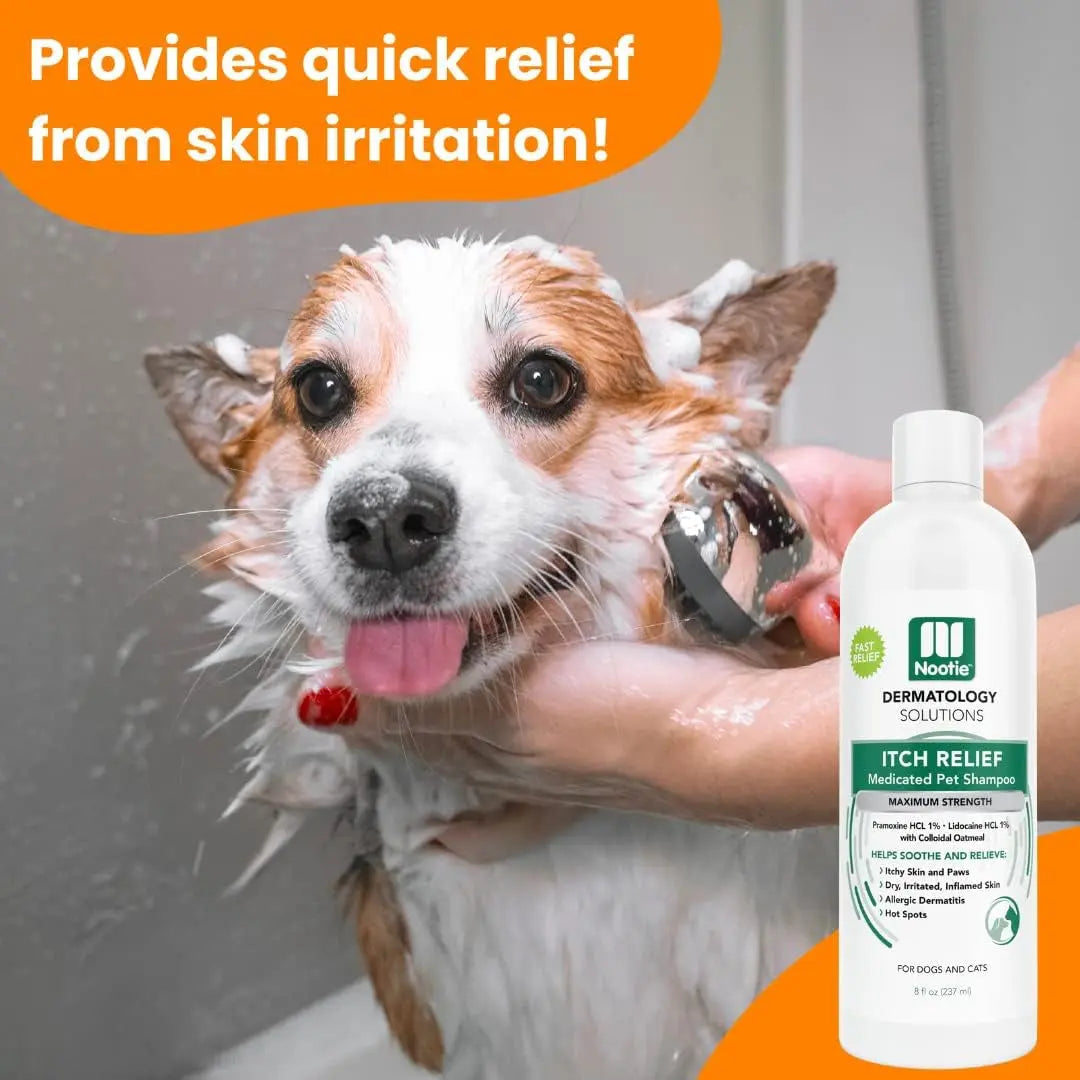 Nootie Dog Cat Medicated Shampoo Anti Itch Oatmeal Lidocaine Hot Spot Relief
