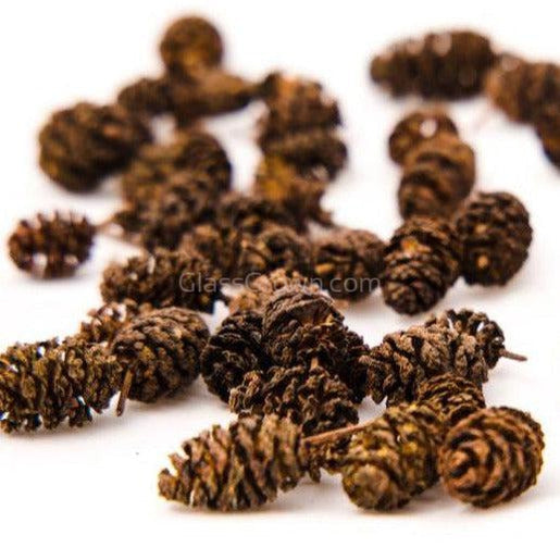 Organic Alder Cones