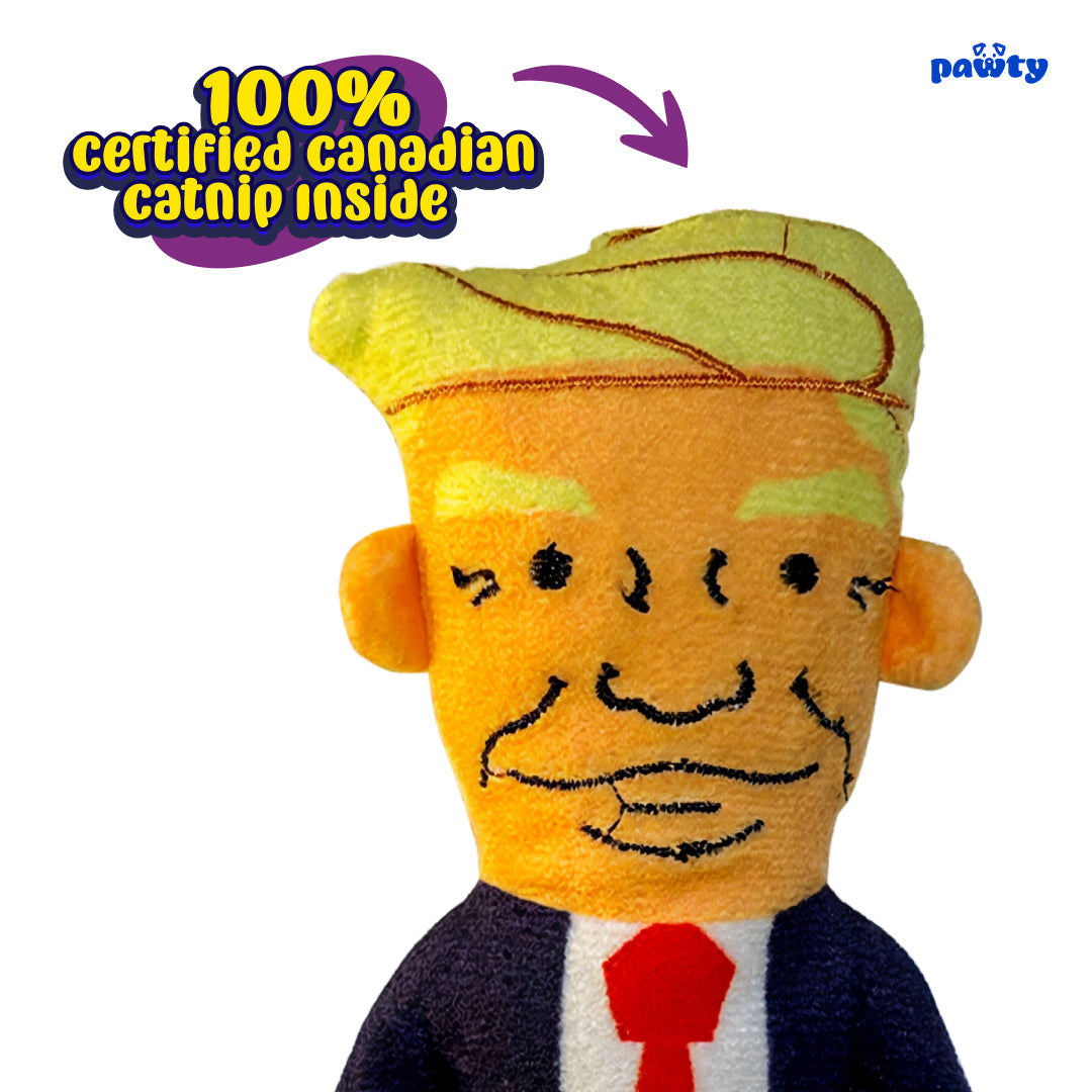 Mini Donald Cat Toy