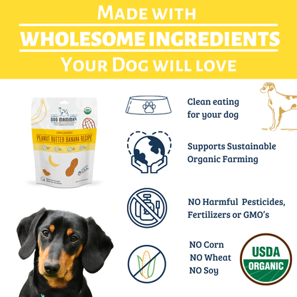 Dog Mamma's Organic Peanut Butter Banana Recipe - USDA Organic Certified Dog Treats