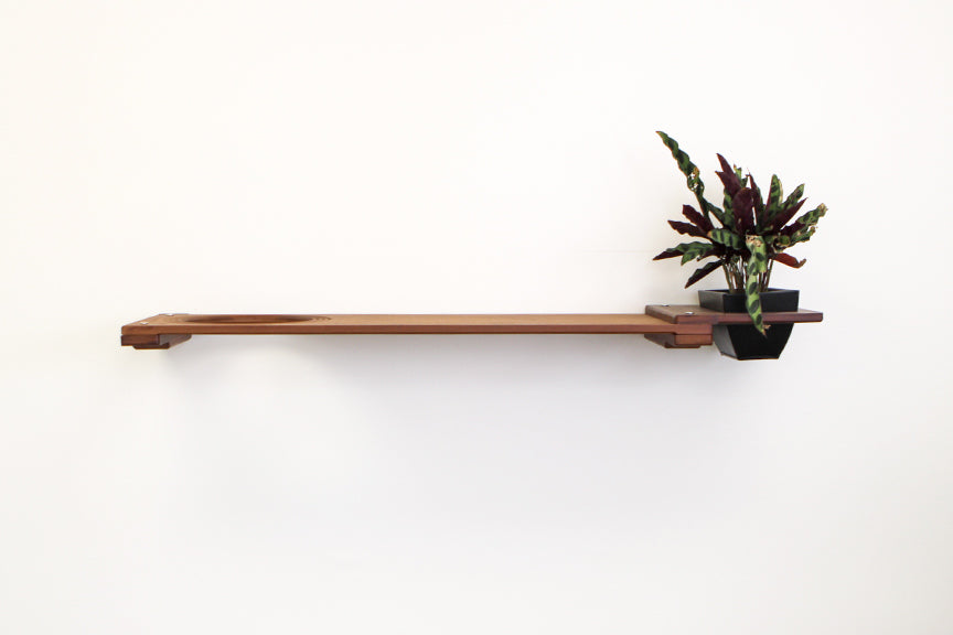 Cat Plant Stand for Wall