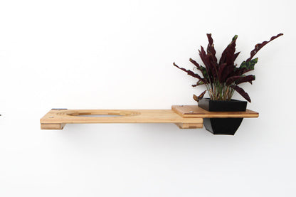 Cat Plant Stand for Wall