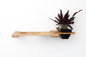 Cat Plant Stand for Wall