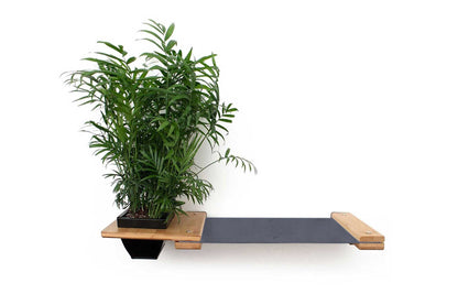 Cat Hammock Wall with Planter