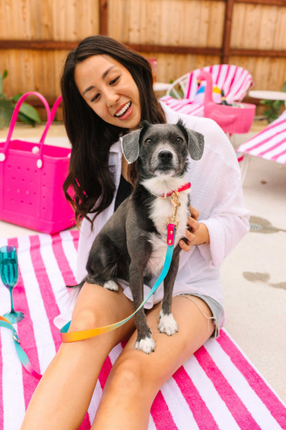 Pippa Dog Collar