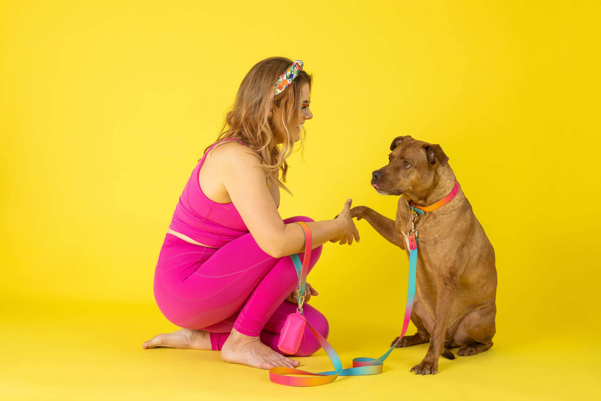 Pippa Dog Collar
