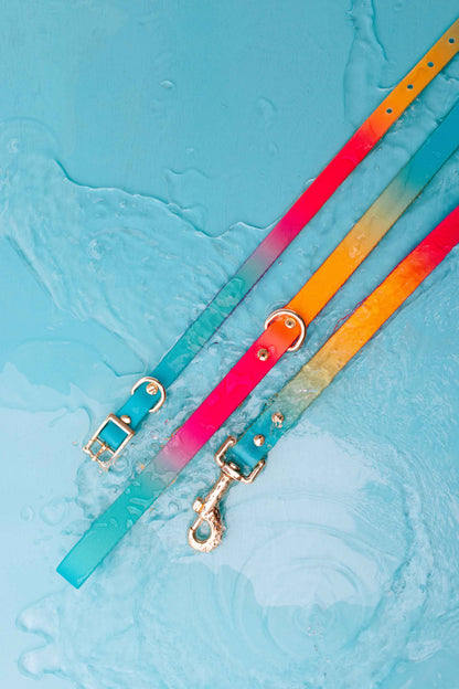 Pippa Dog Collar