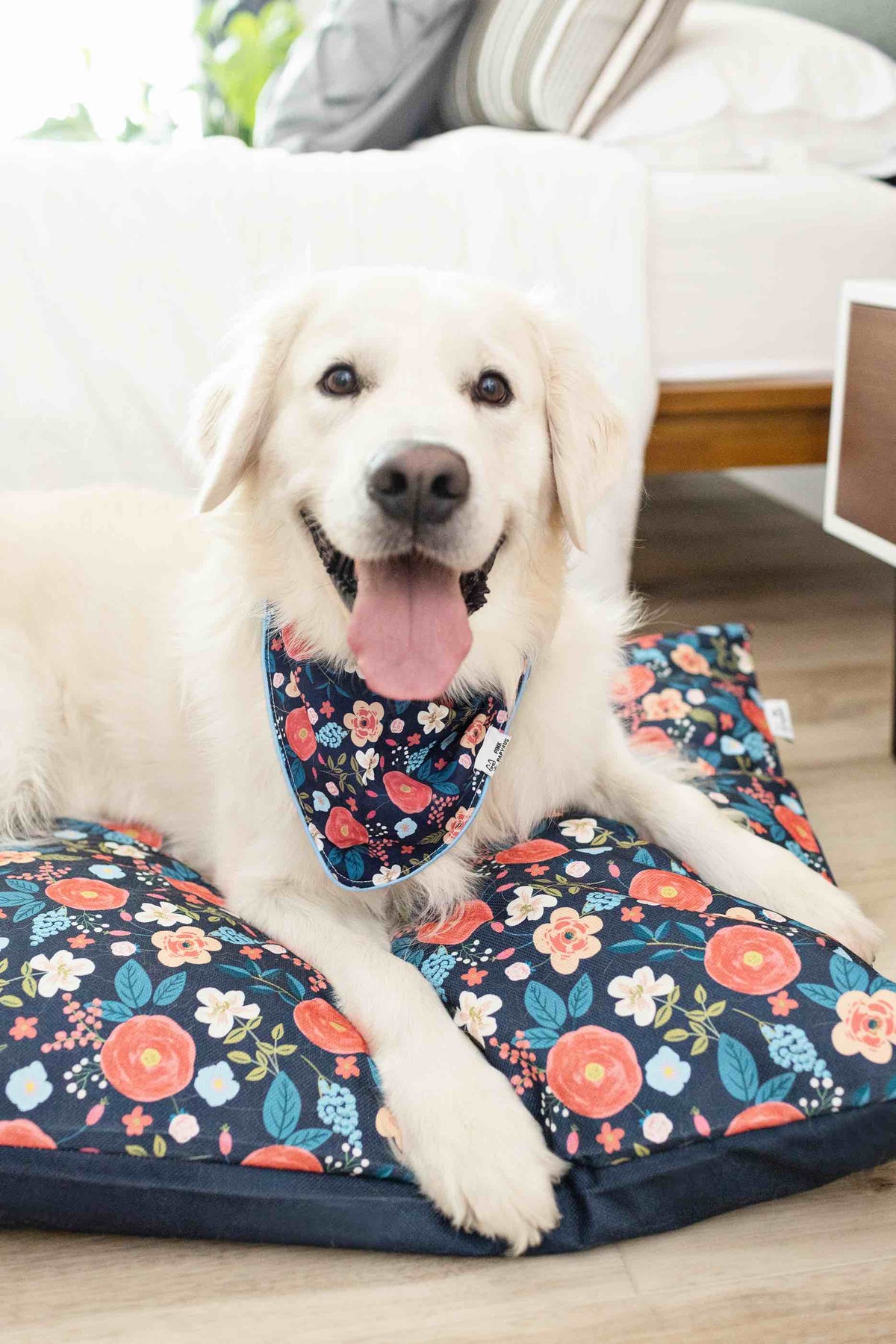Riley Dog Bandana