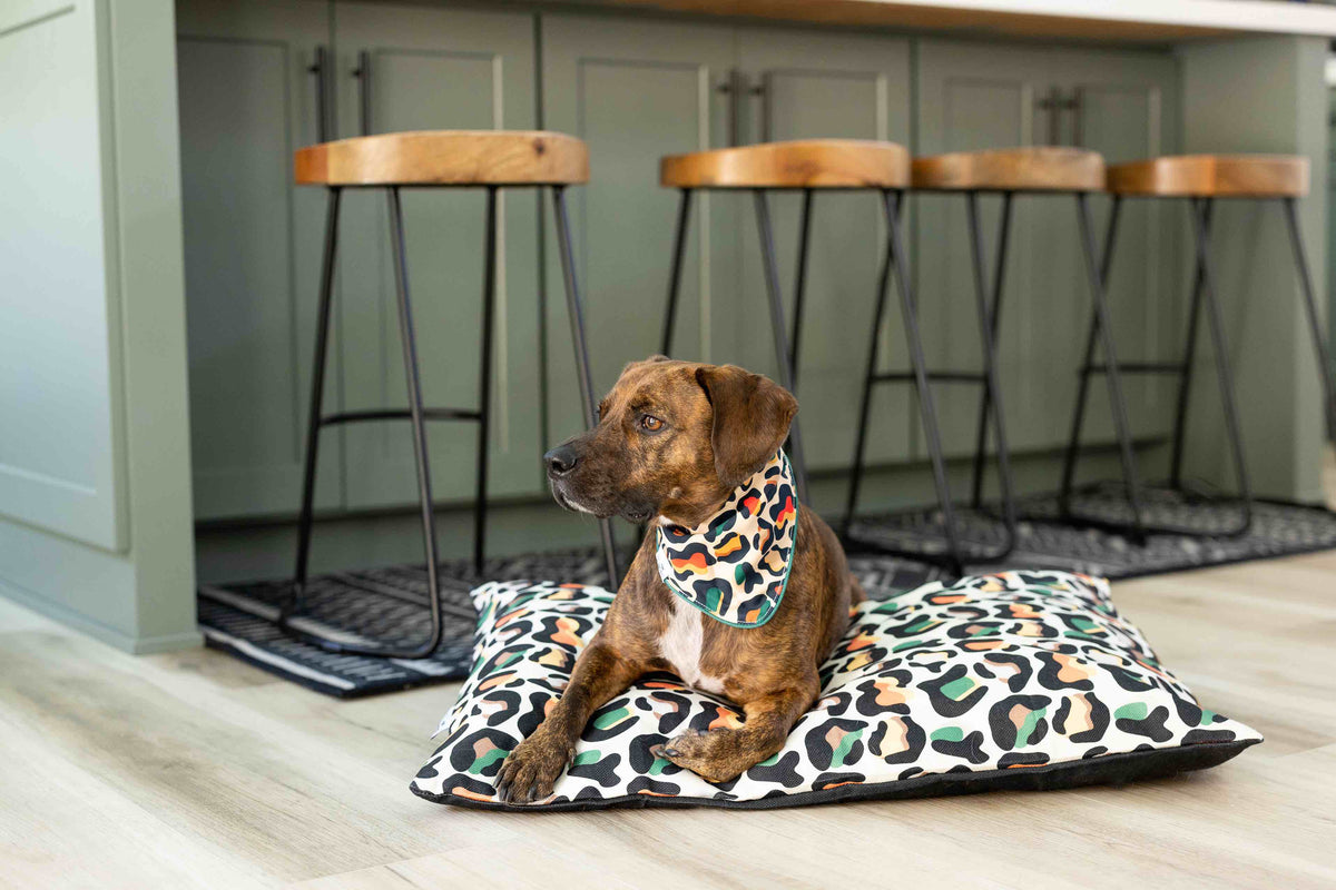 Beckett Dog Bandana