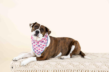 Clarke Dog Bandana