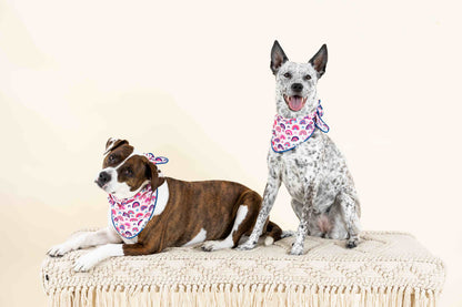 Clarke Dog Bandana
