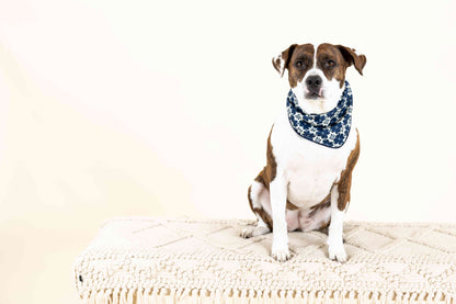 Ryder Dog Bandana