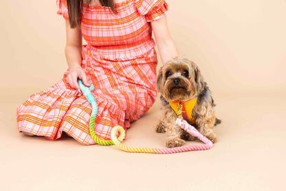 Kenna Dog Harness