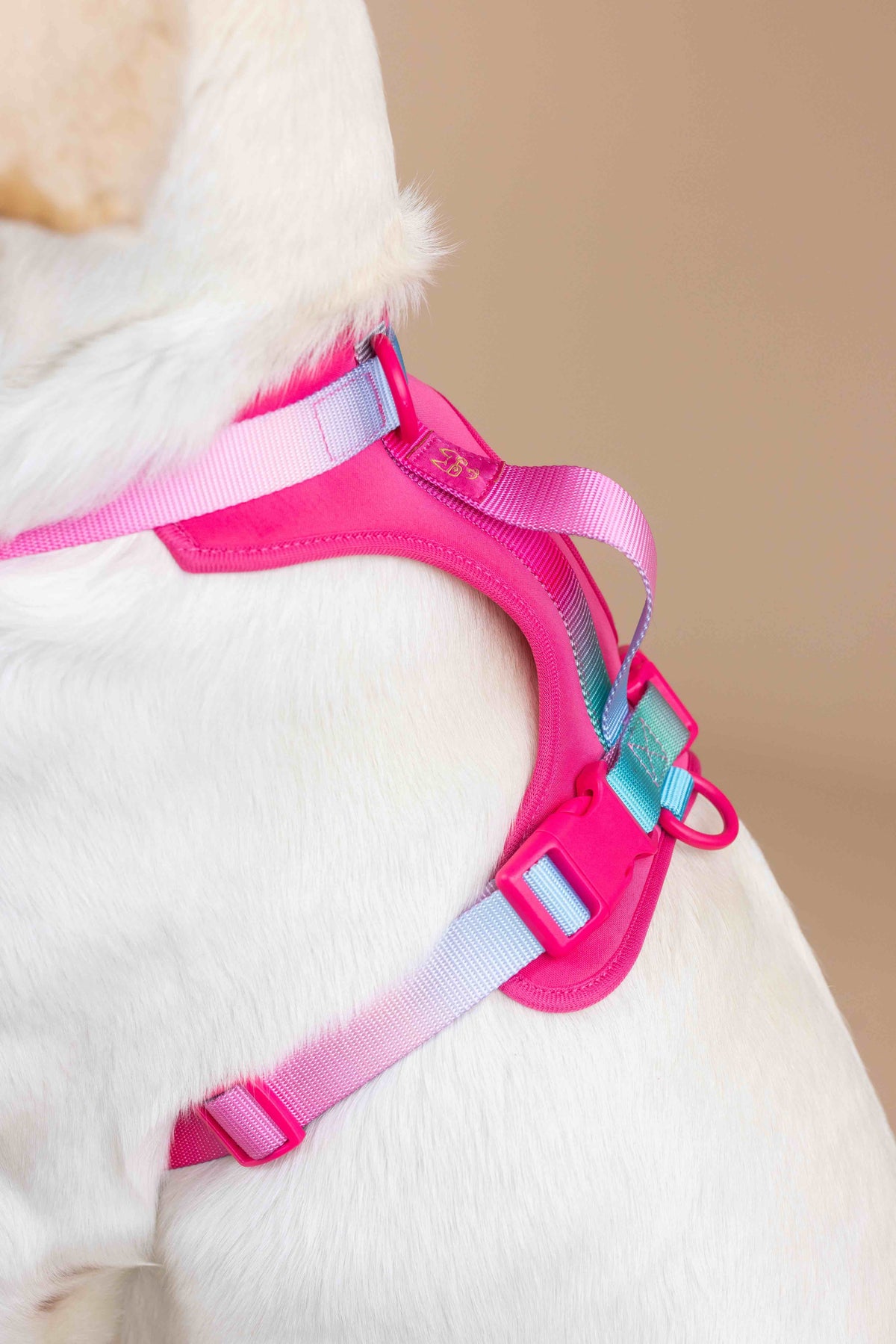 Stasia Dog Harness