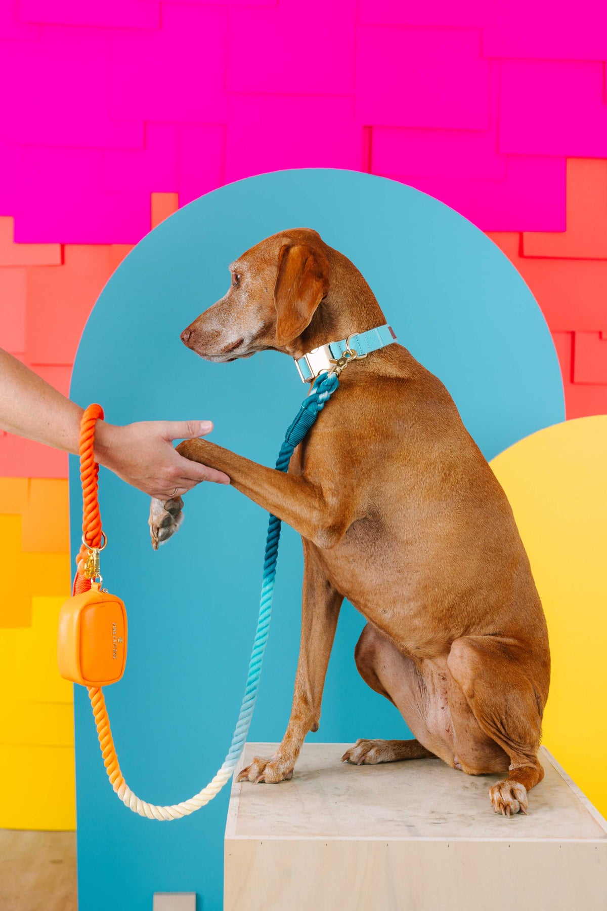 Beau Rope Dog Leash