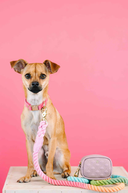 Willow Waste Bag Holder & Treat Pouch